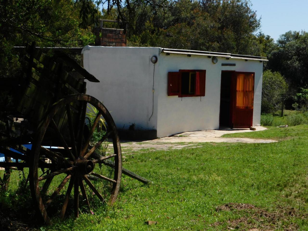 La Calaguala Punta del Este Ngoại thất bức ảnh